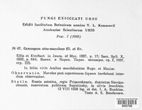 Image Associated With the Occurence